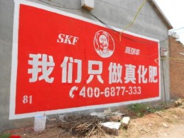 怀宁刷墙广告”蕴含了时代命题