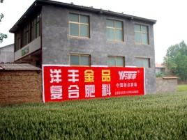 怀宁如何让墙体广告展现最大化效果
