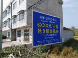 怀宁墙体广告质量分析